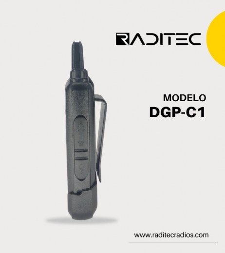 DGP-C1 (2)